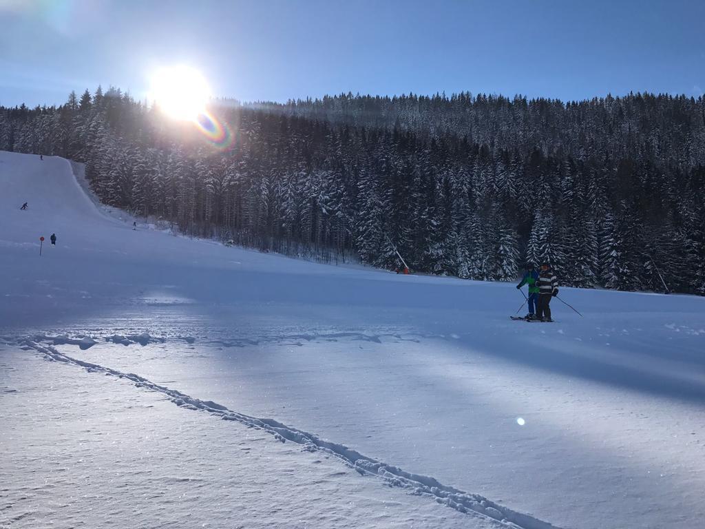 Appartements Almnest Schladming Esterno foto