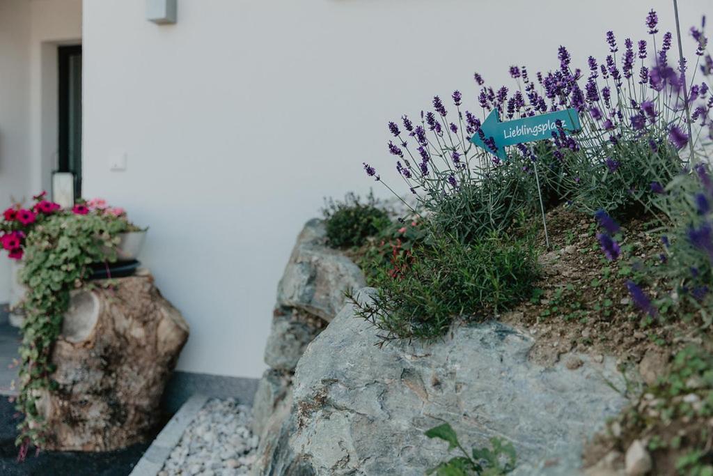 Appartements Almnest Schladming Esterno foto